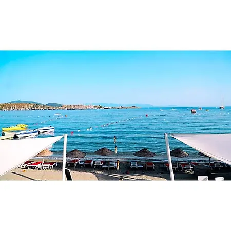 Cove ホテル