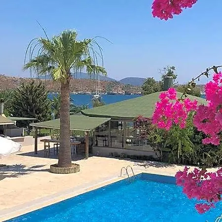 Hotel Cove