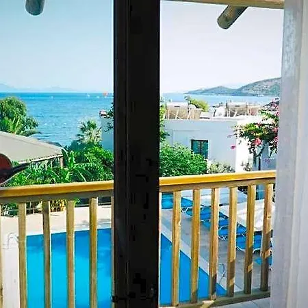 Cove Hotel