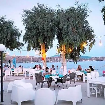 Hotel Cove Gümbet